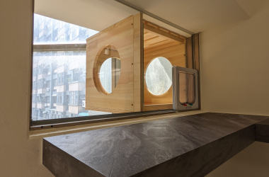 仿深石｜簡約白寵物共生宅