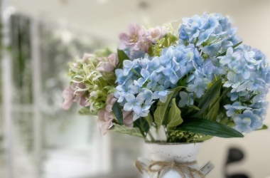 輕盈綠意｜北歐風店面辦公室